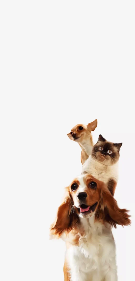 Best Selling Products