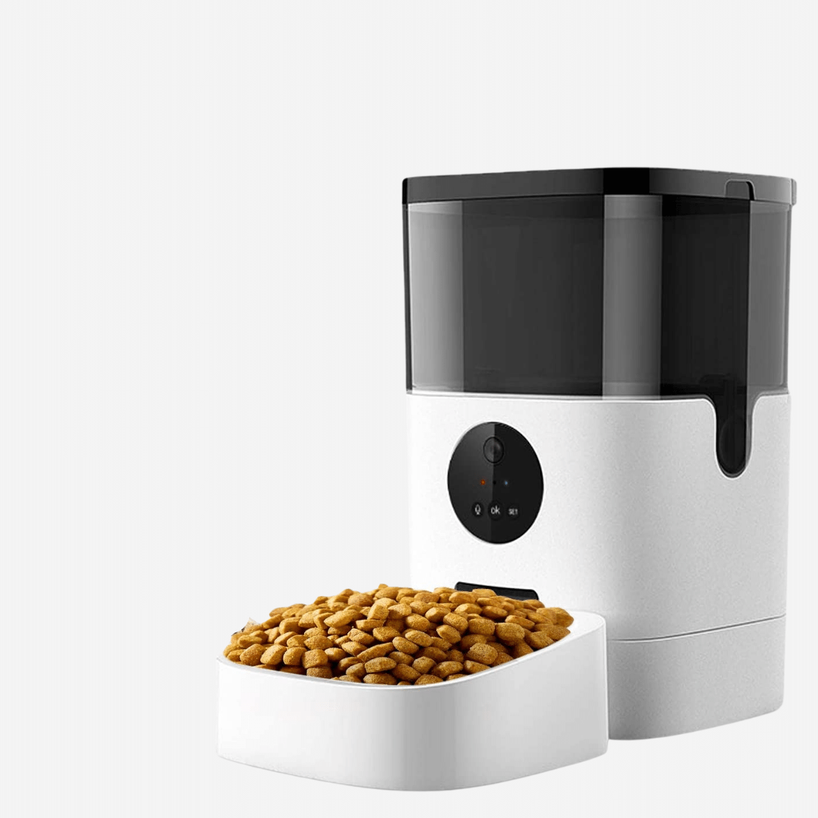 Dog Feeding & Watering Supplies