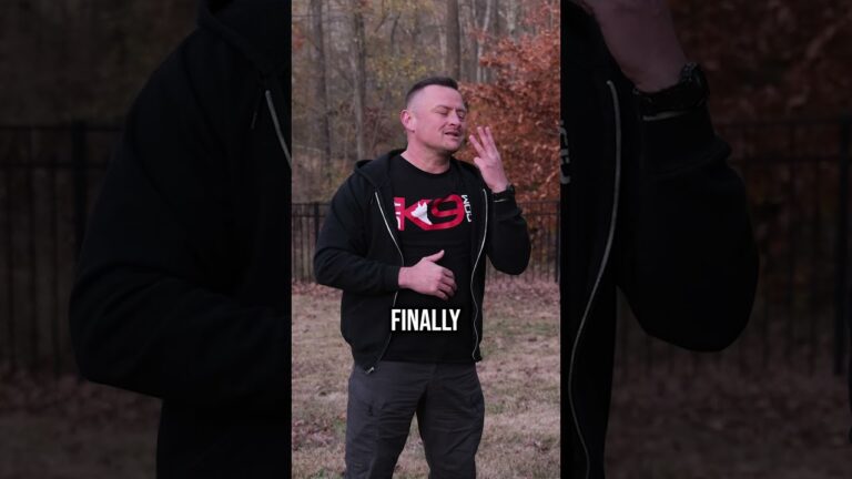 Top 3 Protection Dog Breeds!