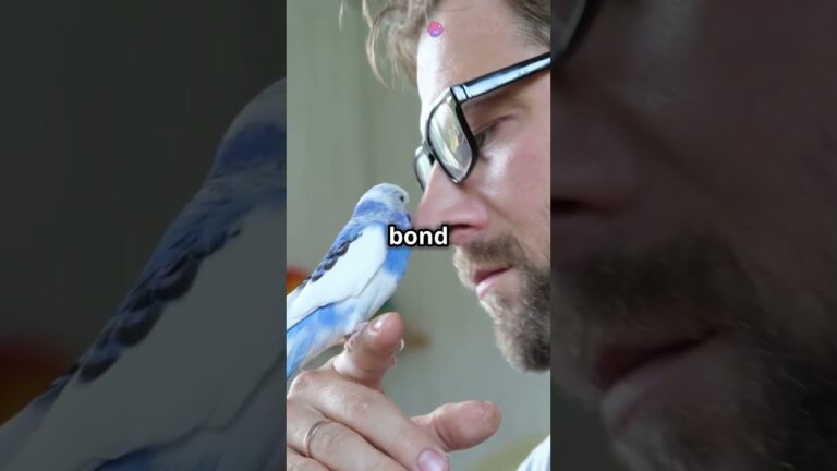Why Birds Make Amazing Pets! 🐦💖 #PetBirds #PetTips