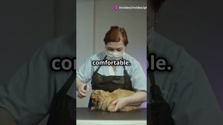 Daily Cat Care Checklist for Happy Cats! – www.placeforpets.co.uk #cute #cats #cat #pets #animals