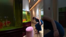 I really hate it when my wife touches my fish tank. #koi #indian #aquarium#fish #america #goldfish