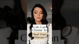 Cats Can Choose to Heal Your Disease 🐱