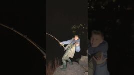 Fire sturgeon Edit! #fishing #sturgeon #viralvideo #viralshorts #fish #peekaboo