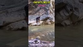 STURGEON FISHING WITH CROCODILES