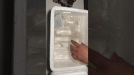 Should you not buy aquarium fish during winter?