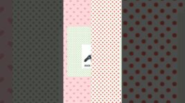 Pigeon Name/Picture -Part 1 #birds #pigeon #pets #animals