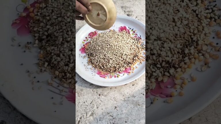 Racer Pigeon feed mixing and eating #pigeon #racingpigeonlover #kabutar #loft #racingpigeon #birds