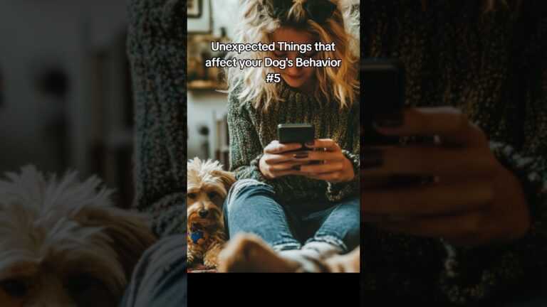 Unexpected Things that affect your Dog's Behavior #5 #dogs #dogtraining #dogbehavior