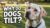 Dog Behavior Secrets Pet Owners Wish They Knew